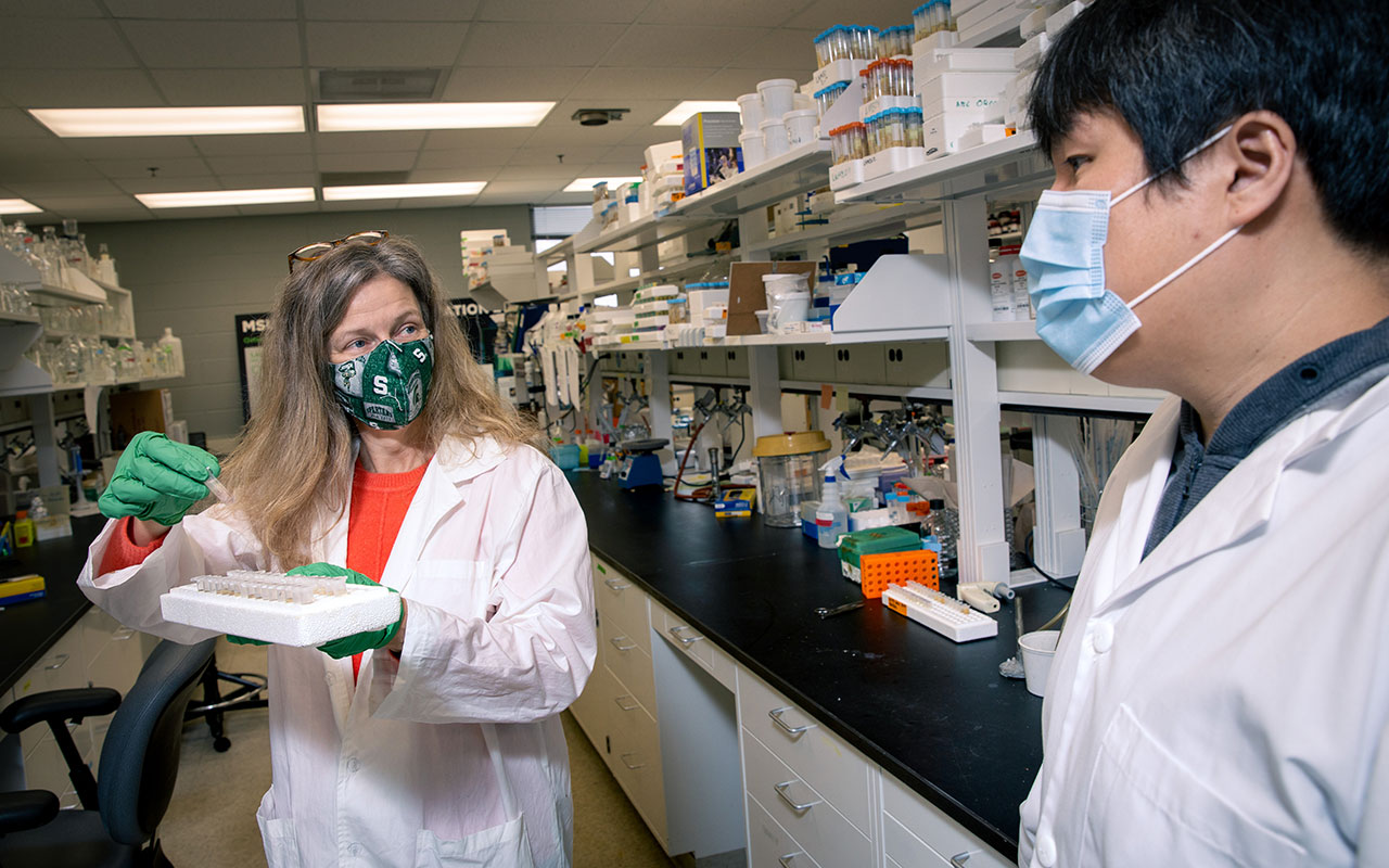 Dr. Laura McCabe in lab with student